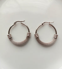 Load image into Gallery viewer, Stainless Steel Mesh Earrings
